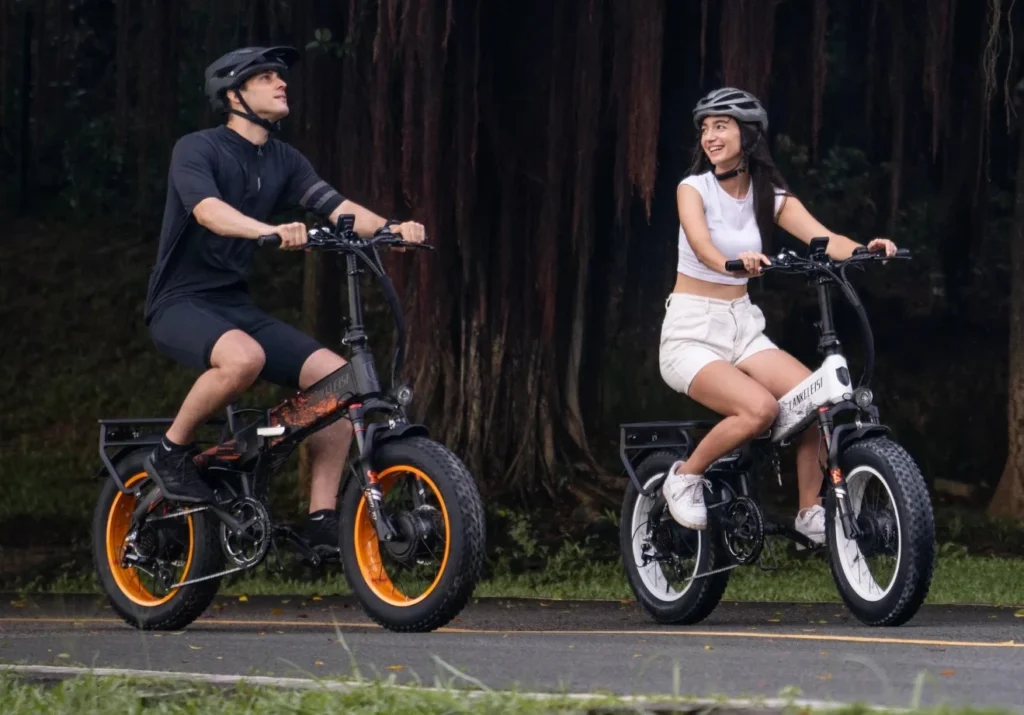 Bicicleta electrica de doble motor LANKELEISI X2000 MAX 2000W 6