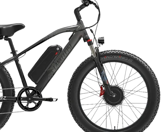 Bicicleta eléctrica todoterreno LANKELEISI MG740PLUS de doble motor (nueva en 2023)s